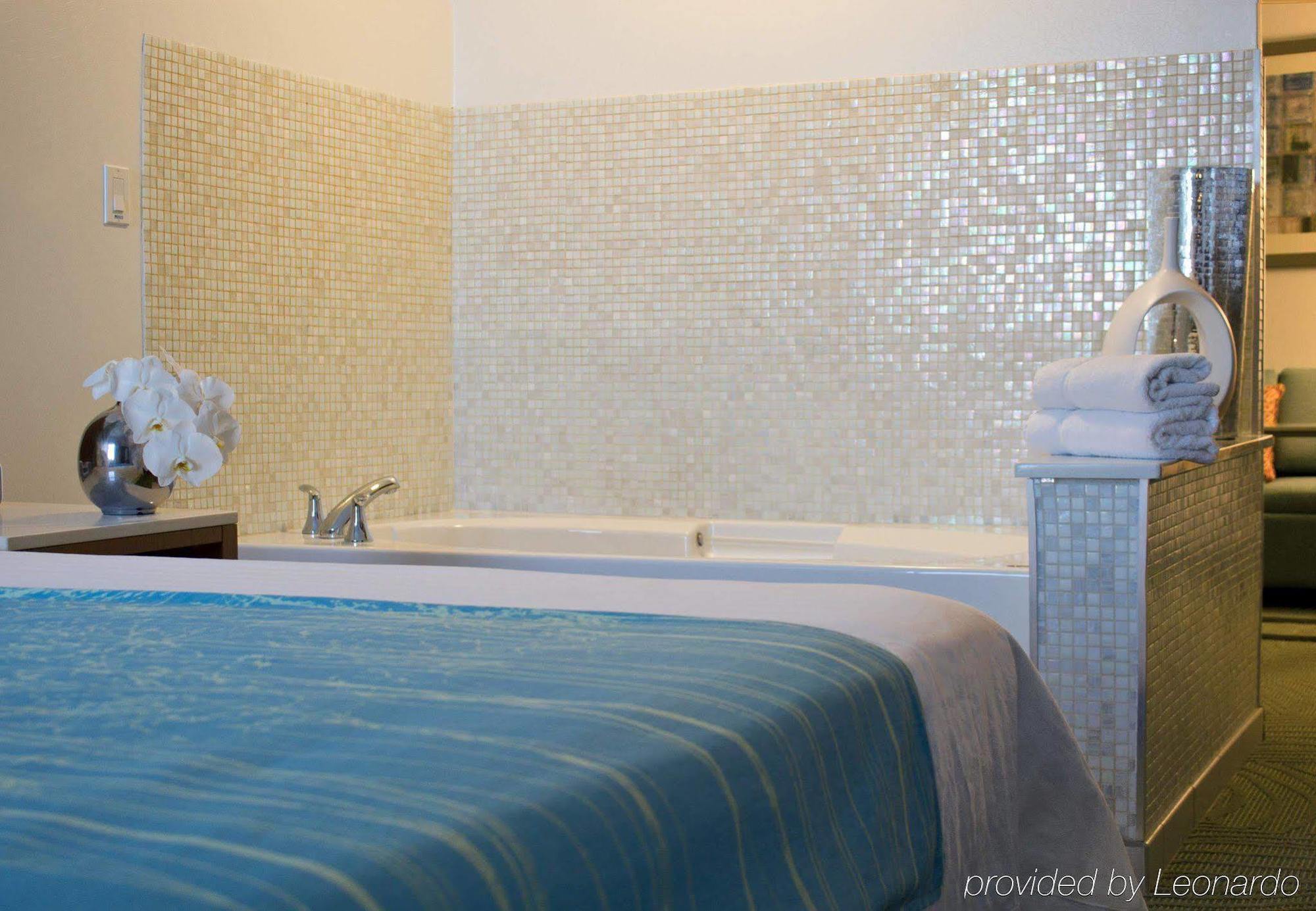 Springhill Suites Cincinnati Airport South Florence Kamer foto